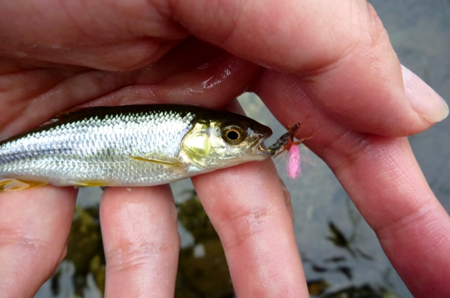 20120714_5.jpg
