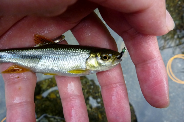 20120714_6.jpg