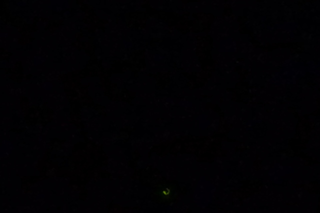 20120714_8.jpg