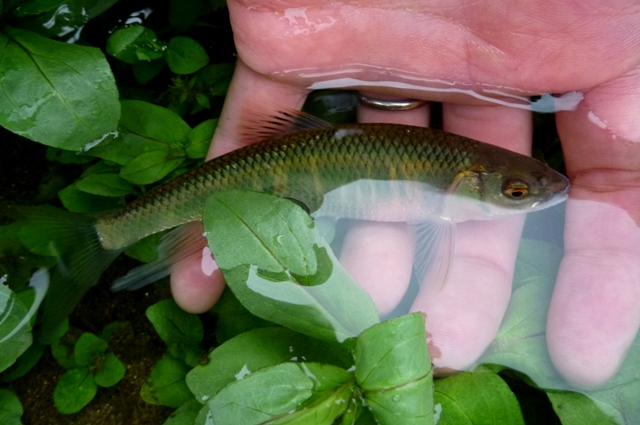 20120721_03.jpg