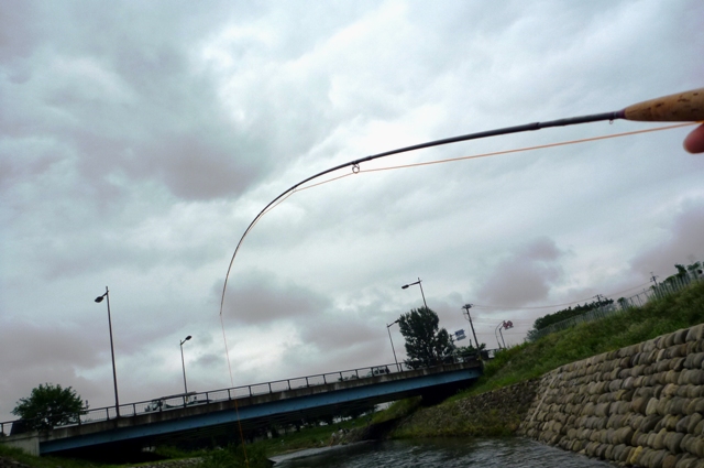 20120721_05.jpg