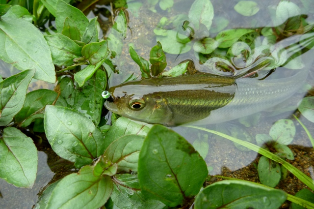 20120721_06.jpg