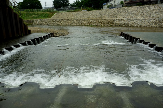 20120721_08.jpg