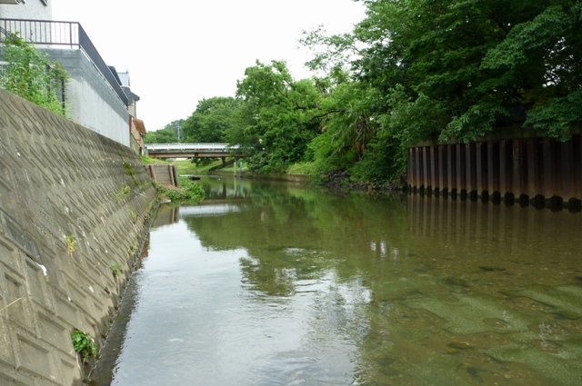20120721_10.jpg