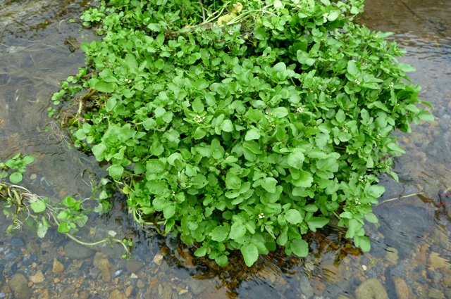 20120721_11.jpg