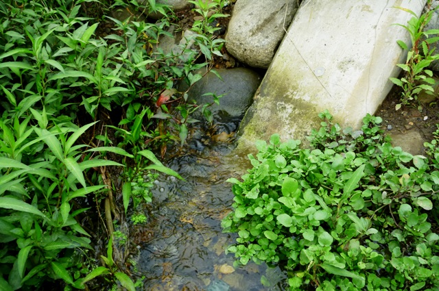 20120721_12.jpg
