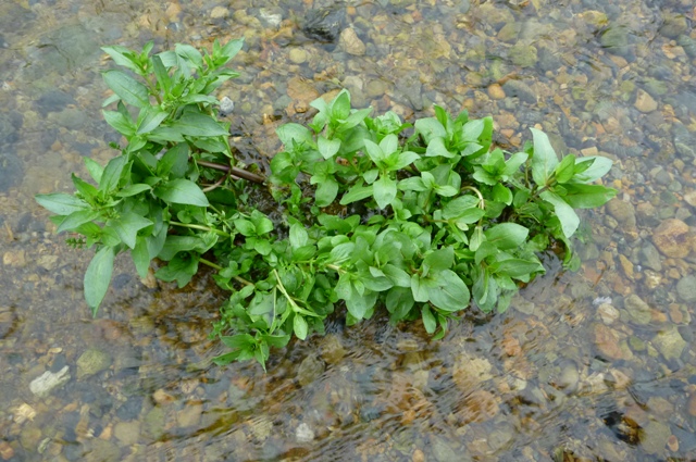 20120721_13.jpg