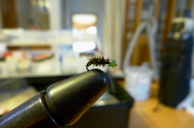 20120722_4.jpg