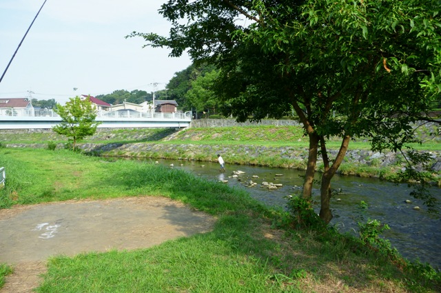 20120726_1.jpg