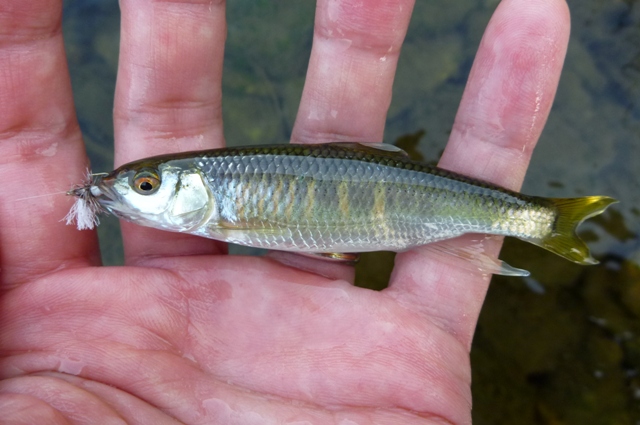 20120726_2.jpg