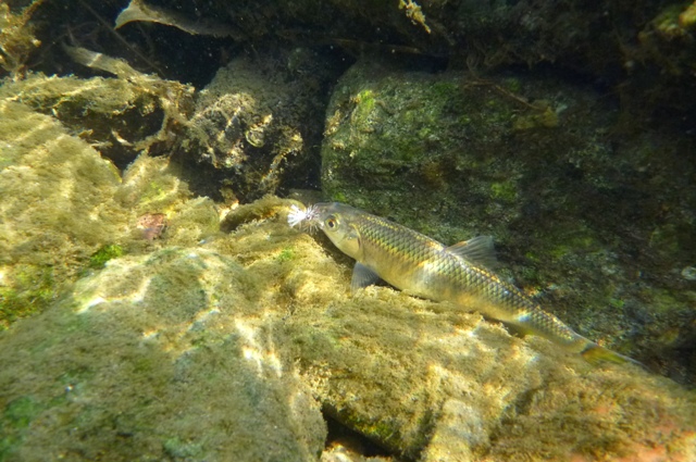 20120726_3.jpg