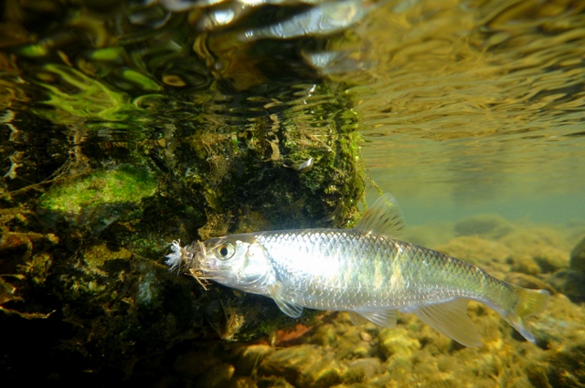 20120726_4.jpg