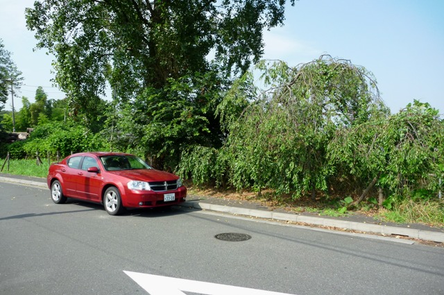 20120726_6.jpg