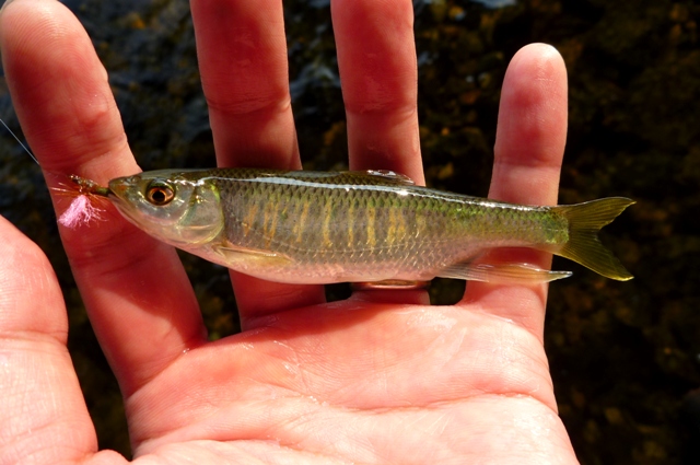20120729_2.jpg