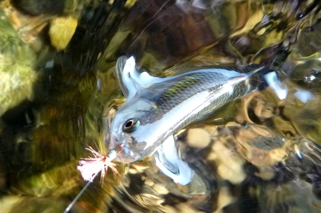 20120729_4.jpg