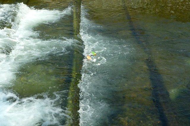 20120729_5.jpg