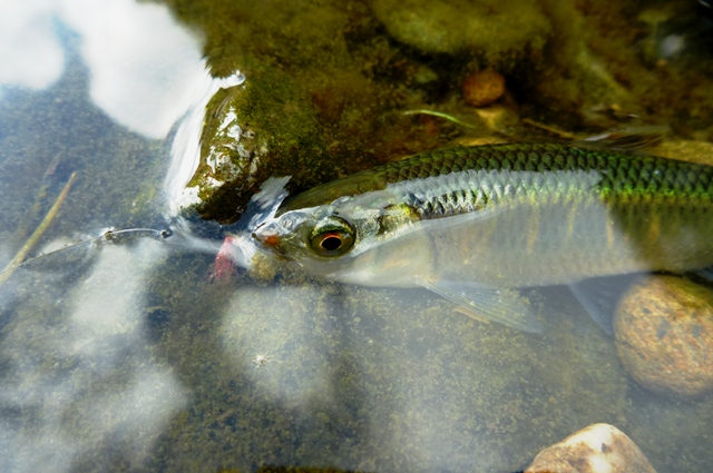 20120804_1.jpg