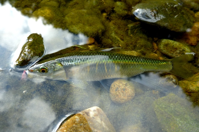 20120804_2.jpg
