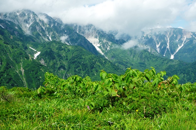 9_snowy gorge