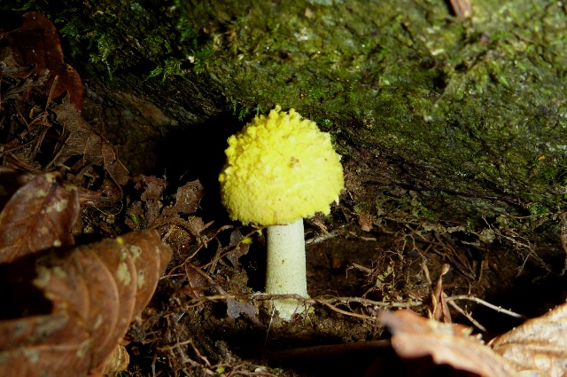 20120929_02.jpg