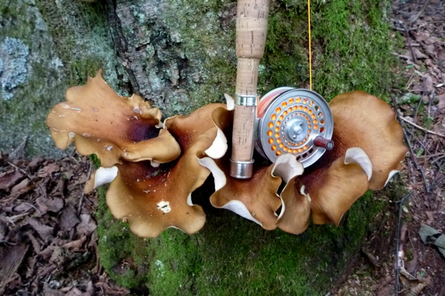 20120929_03.jpg