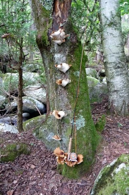 20120929_04.jpg