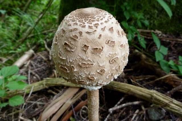 20120929_06.jpg