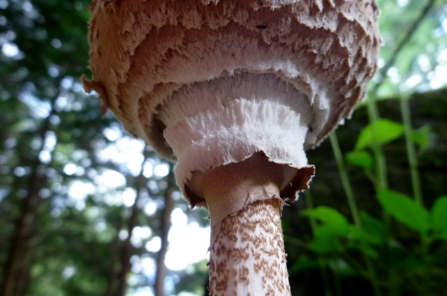 20120929_07.jpg