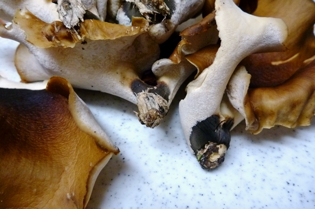 20120929_08.jpg