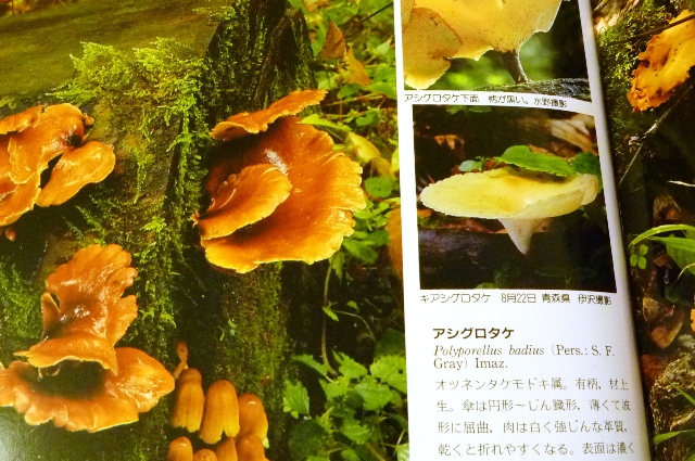 20120929_09.jpg