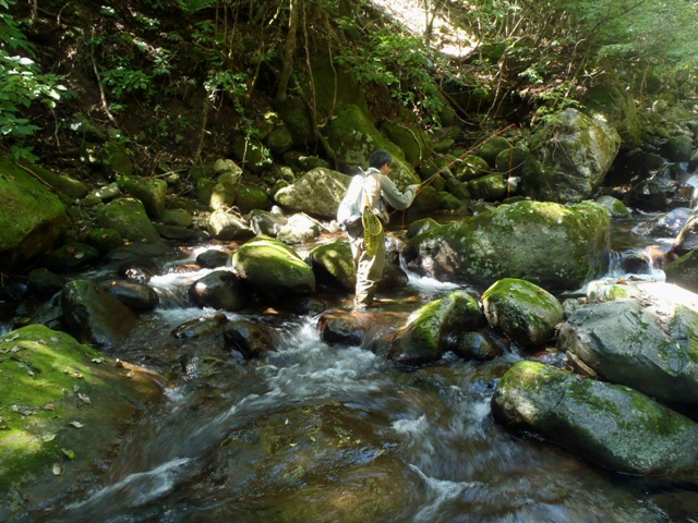 20120929_FF_2.jpg