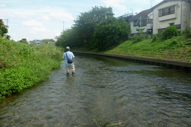 20120930_01_farwater_san.jpg