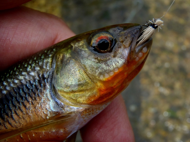 20120930_farwater_07.jpg