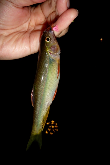 20121001_1.jpg