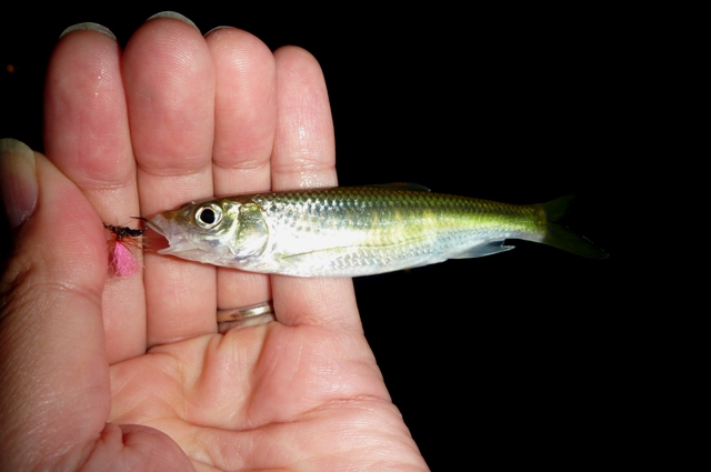 20121001_2.jpg