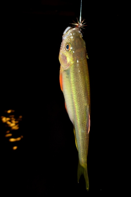 20121001_9.jpg