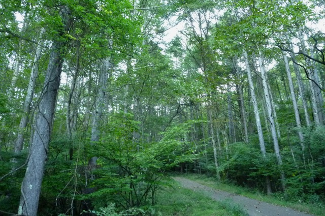 20121008_02.jpg