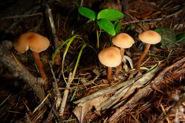 20121008_03.jpg