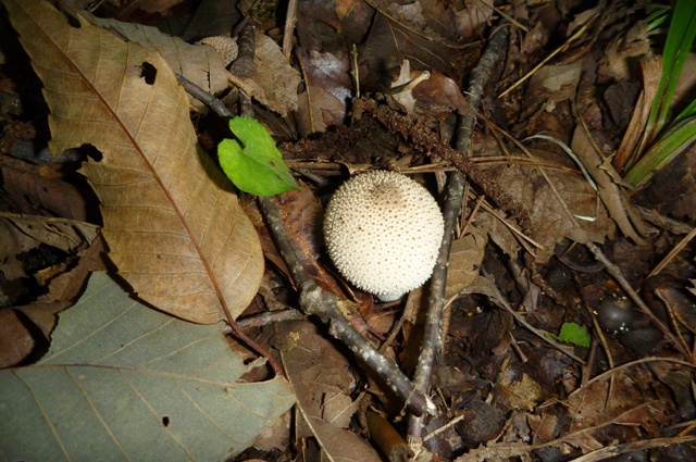 20121008_04.jpg