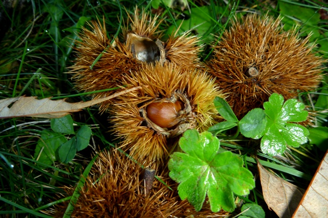20121008_05.jpg