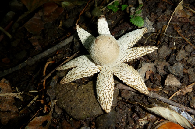 20121008_06.jpg