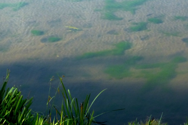 20121008_10.jpg