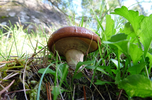 20121008_12.jpg