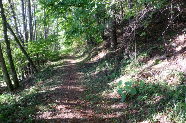 20121008_13.jpg