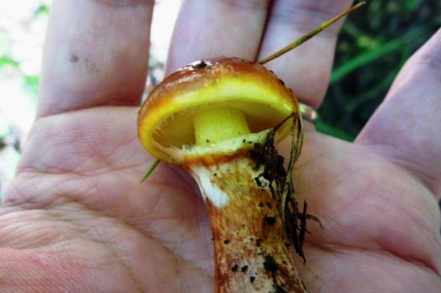 20121008_14.jpg