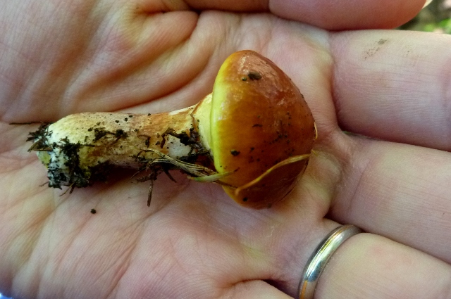20121008_15.jpg