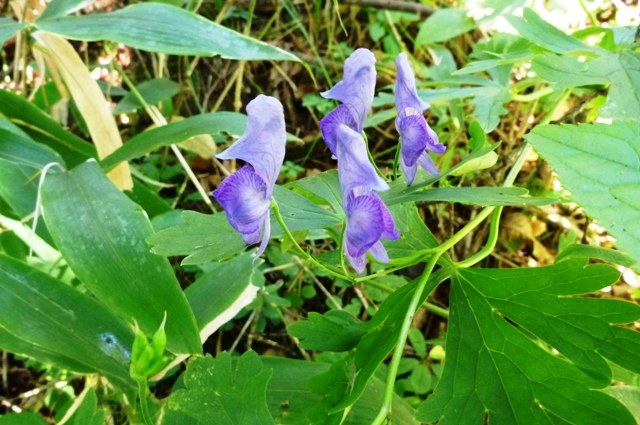 20121008_17.jpg