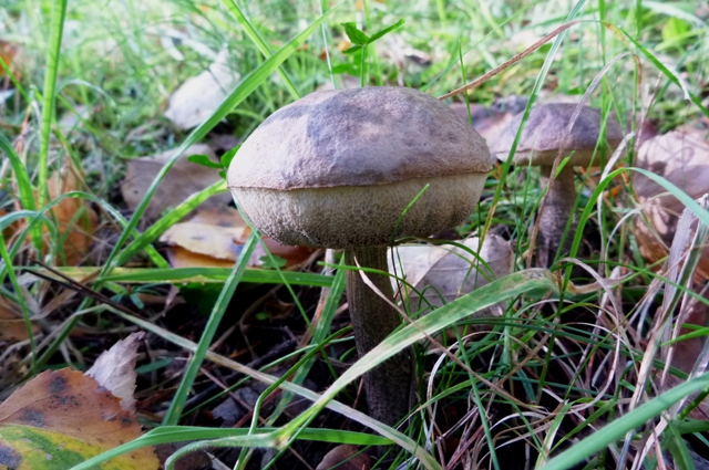 20121008_18.jpg