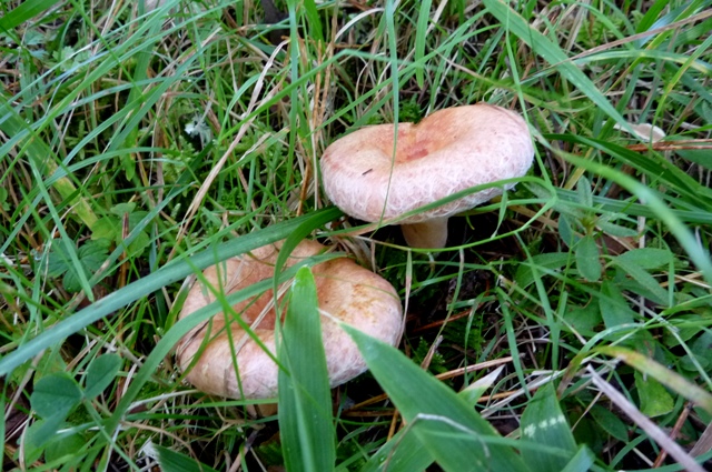 20121008_20.jpg