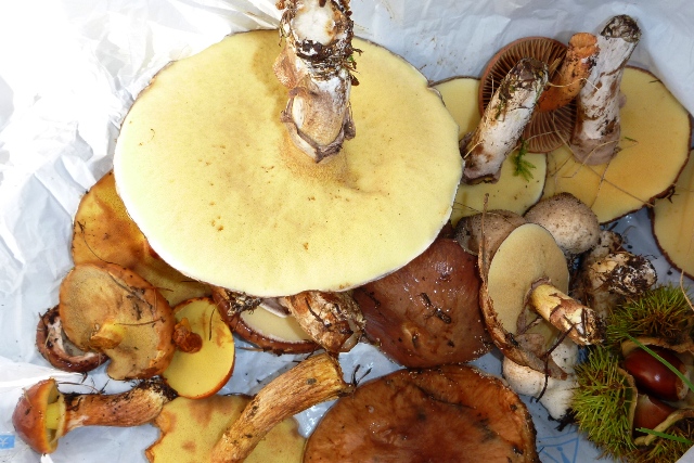 20121008_21.jpg